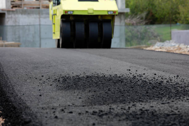 Best Driveway paver repairs and maintenance in Dakota Ridge, CO